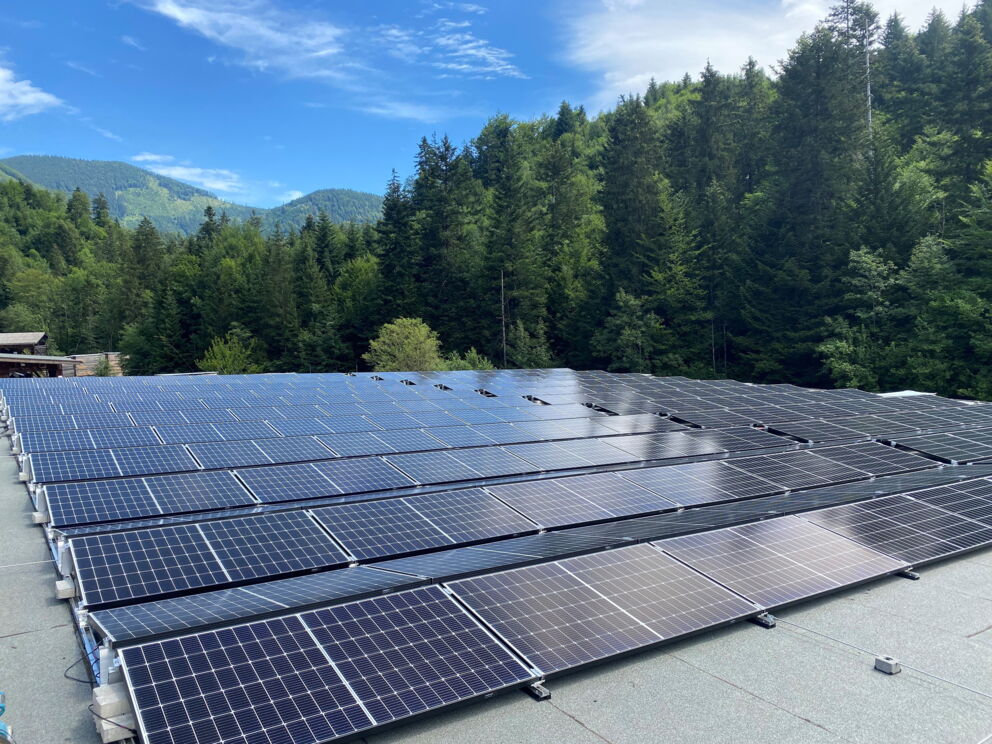 Mehrere Photovoltaik-Anlagen-Reihen auf einem Dach mit einem Wald im Hintergrund